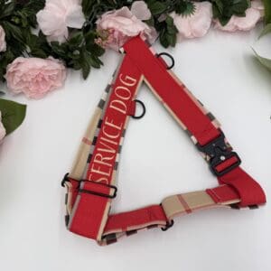 pre-made Y-Front Harness